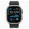 Apple Watch Series Ultra 2 49mm Natural Titanium Case with Black Ocean Band One Size